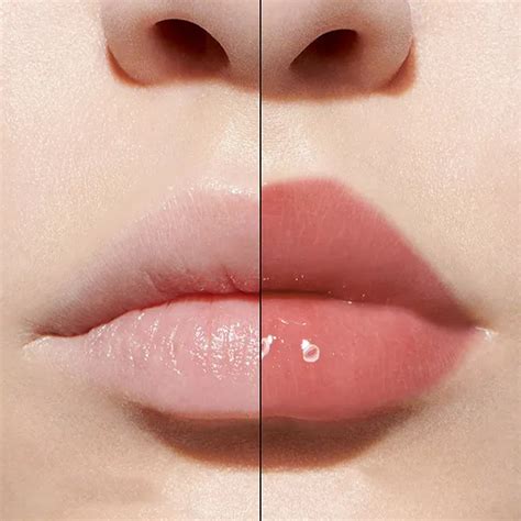 dior lip maximizer 018 intense spice|Dior lip maximizer 001 pink.